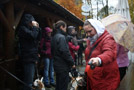 Regen beim Beagletreffen